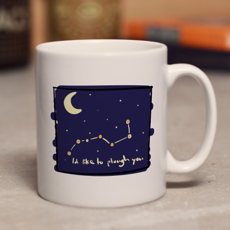 I'd like to plough you mug