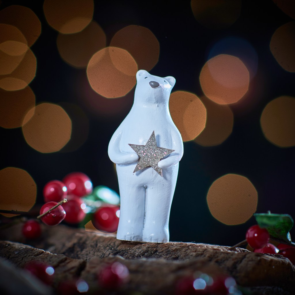 Bear holding Star Decoration