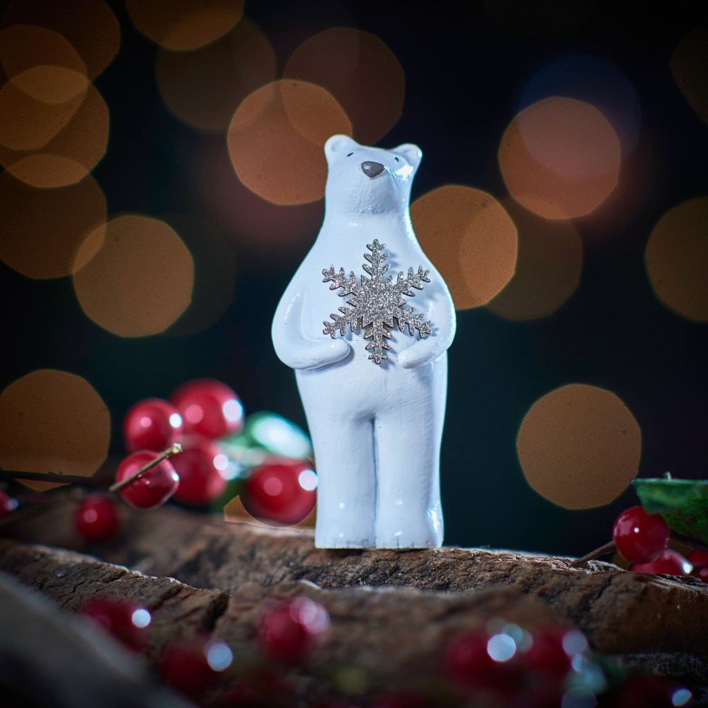 Bear holding Snowflake Decoration
