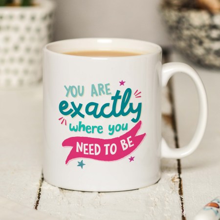 You are exactly where you need to be Mug