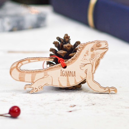Personalised Iguana Decoration