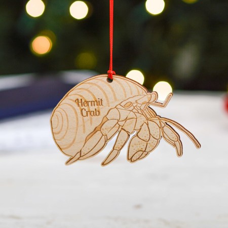 Personalised Hermit Crab Decoration