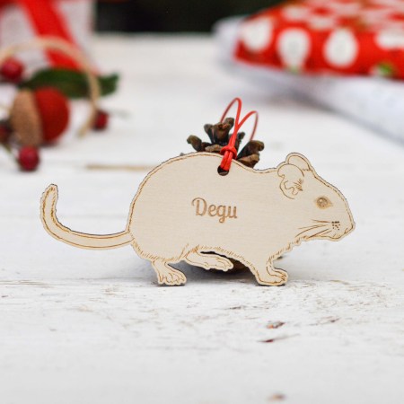 Personalised Degu Pet Decoration