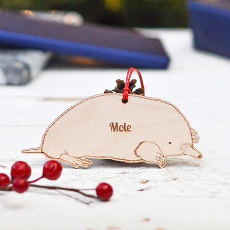 Personalised Mole Decoration