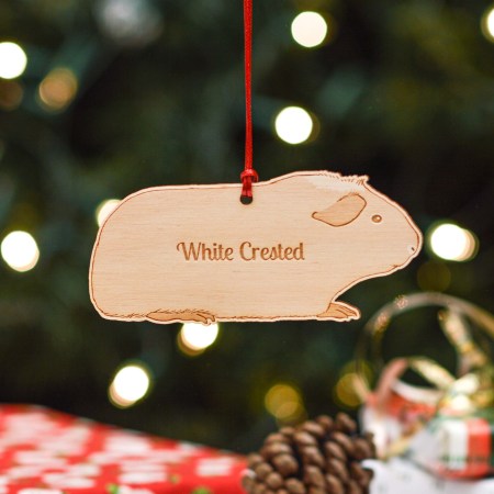 Personalised White Crested Guinea Pig Decoration