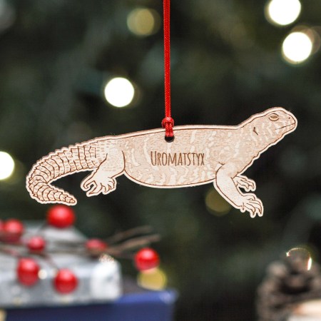 Personalised Uromastyx Decoration