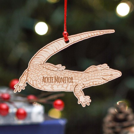 Personalised Ackie Monitor Decoration