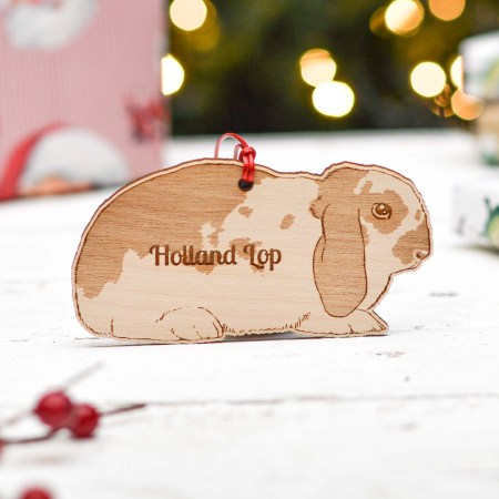 Personalised Holland Lop Rabbit Decoration