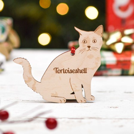 Personalised Tortoiseshell Cat Decoration