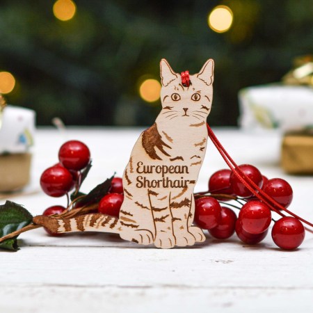 Personalised European Shorthair Cat Decoration