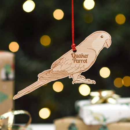 Personalised Quaker Parrot Bird Decoration