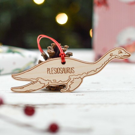 Personalised Pterodactyl Dinosaur Decoration