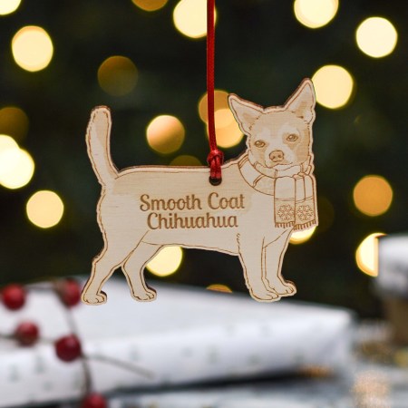 Personalised Smooth Coat Chihuahua Dog Decoration - Detailed
