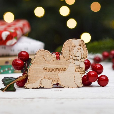 Personalised Havanese Dog Decoration - Detailed