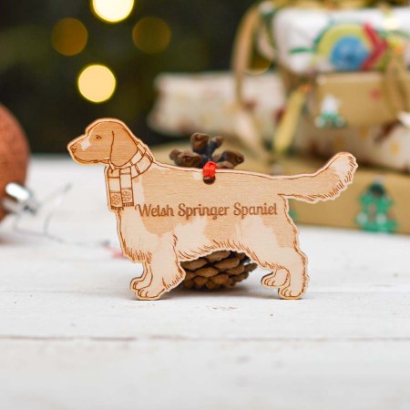 Personalised Welsh Springer Spaniel Dog Decoration - Detailed