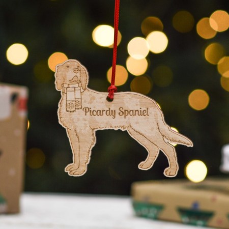 Personalised Picardy Spaniel Dog Decoration - Detailed