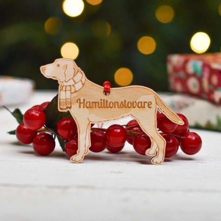 Personalised Hamiltonstovare Dog Decoration - Detailed