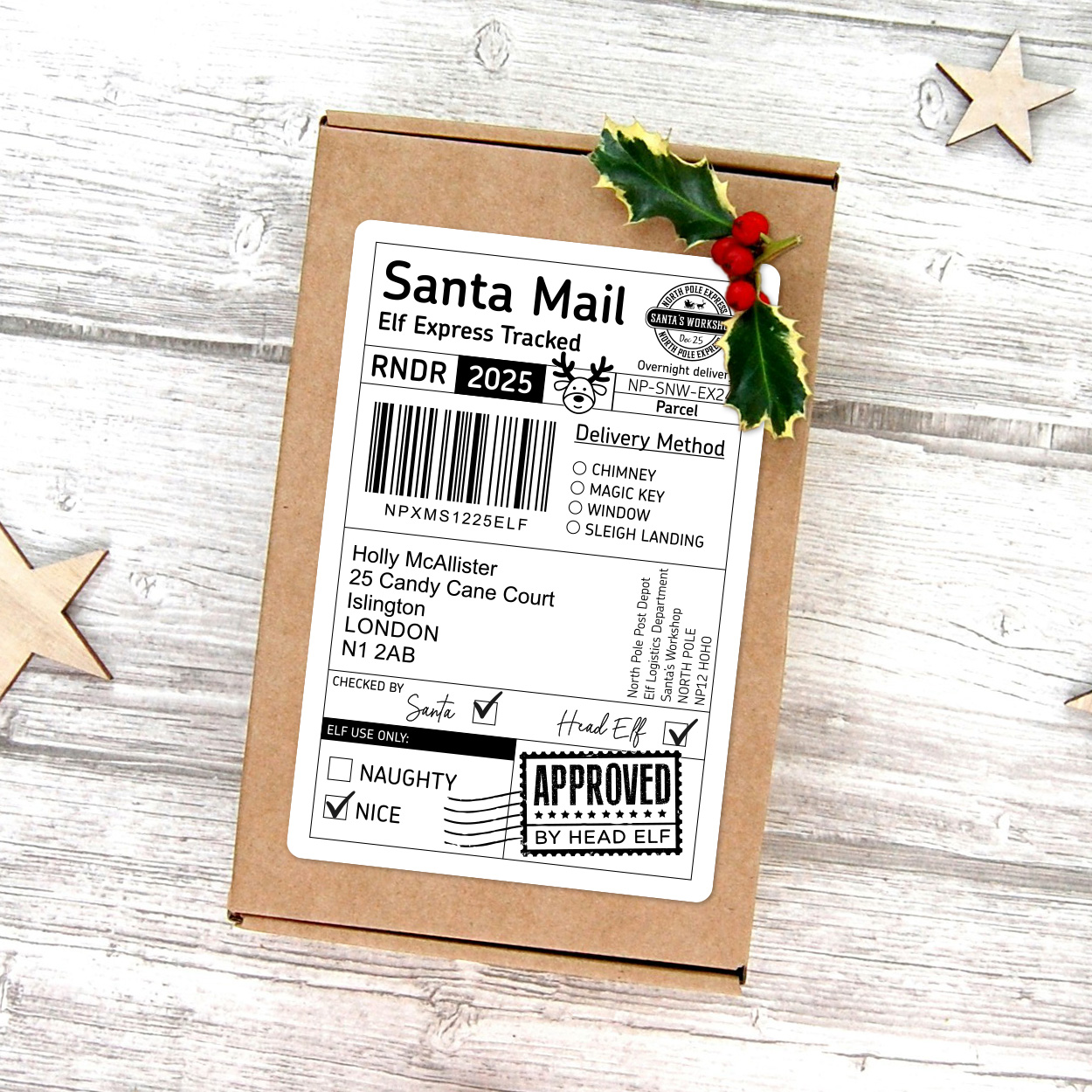 Santa Mail Elf Express Tracked Label