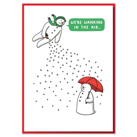 We're Wanking in the Air! Funny Christmas Card