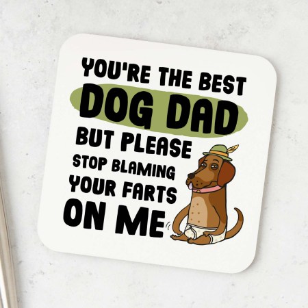 Stop blaming your farts on me Coaster