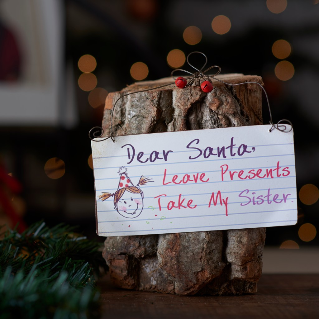 Dear Santa, take my Sister sign