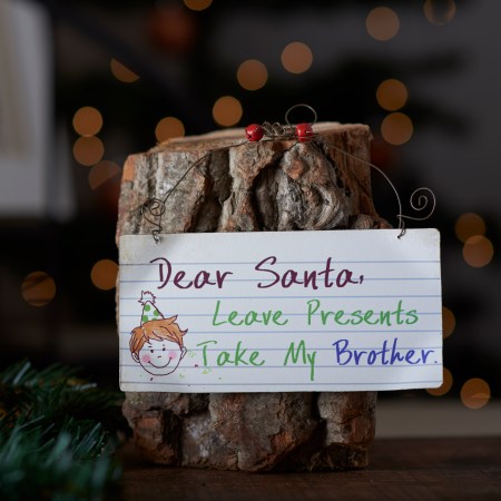 Dear Santa, take my Brother sign