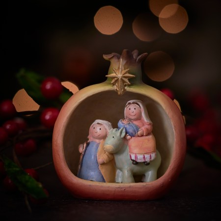 Nativity fruits mix - Pomegranate